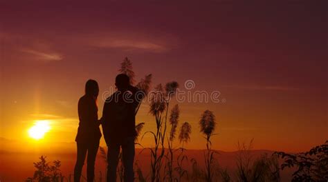 Silhouette Sunset and Yellow Sky Wallpaper ,background Stock Photo ...