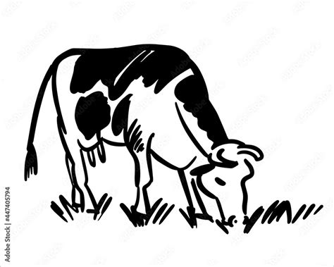 Hand Drawing Of Cattle Cow Eating Grass Vector Illustration Simple