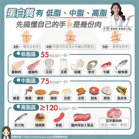 營養師的「1份肉」是啥？攤開你的掌心！蛋白質攝取順序出爐 祝你健康 三立新聞網 Healthsetncom