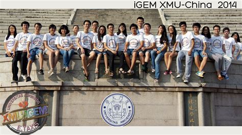 Team XMU China Team Members Test 2014 Igem Org