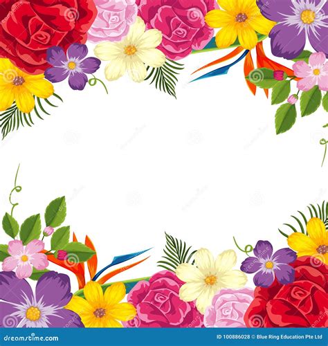 Border Template With Colorful Flowers Stock Vector Illustration Of Gardening Flowers 100886028