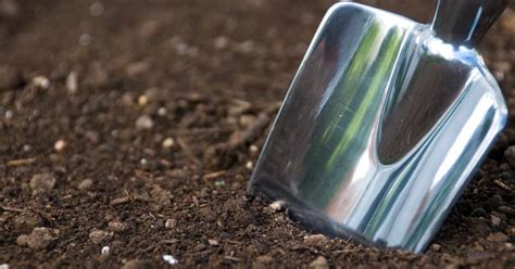 How To Take An Accurate Soil Sample