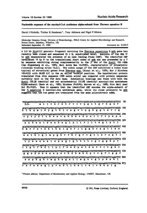 Pdf Nucleotide Sequence Of The Succinyl Coa Synthetase Alpha Subunit