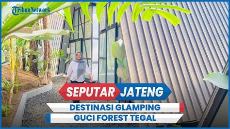 Destinasi Glamping Guci Forest Tegal Konsep Unik View Alam Harga