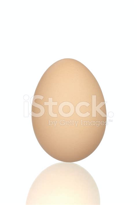 Single Egg Isolated Stock Photo Royalty Free Freeimages