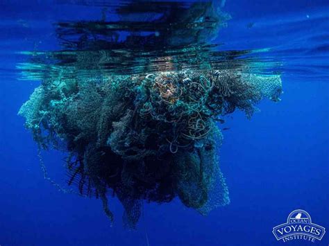 Qué son las redes fantasma y cómo acaban las especies marinas últimas