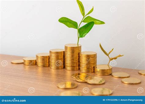 Finance And Investment Concept Growing Money And Plant On Coins Stock