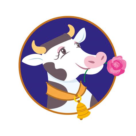 1,200+ Funny Cow Face Drawing Stock Illustrations, Royalty-Free Vector ...