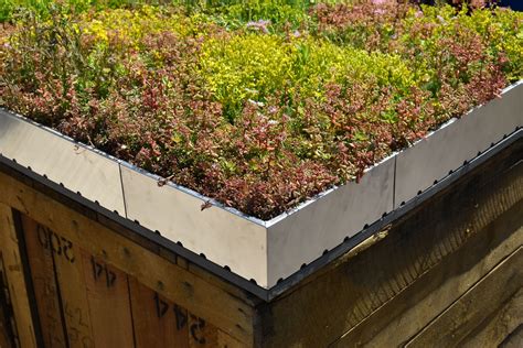 How To Install Sedum Roof Trays Maintain Them