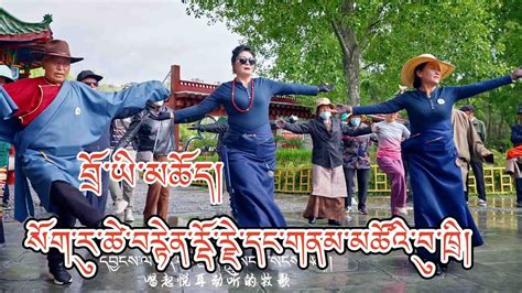 New Tibetan Dance Song 2023 བྲོ་ཡི་མཆོད་པ། སོག་རུ་ཚེ་བརྟེན་རྡོ་རྗེ་དང