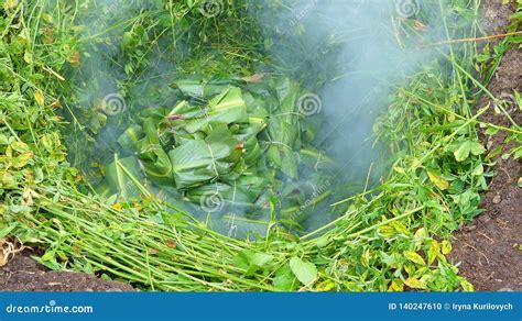 El Pachamanca Es Un Proceso De Cocinar Ancestral De Los Andes Foto De