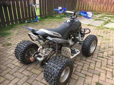 Quadzilla Proshark 100cc Racing Quad In Coxhoe County Durham Gumtree