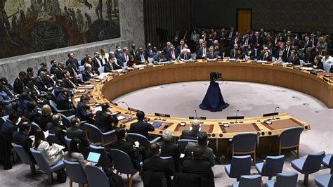 Uniting For Consensus Group Discusses Un Security Council Reform Eritrea