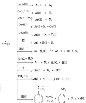 Amines-Revision Notes