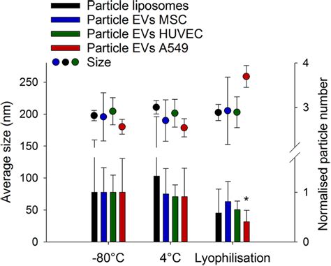 Impact Of Lyophilisation On Native EVs Unloaded EVs From MSC HUVEC