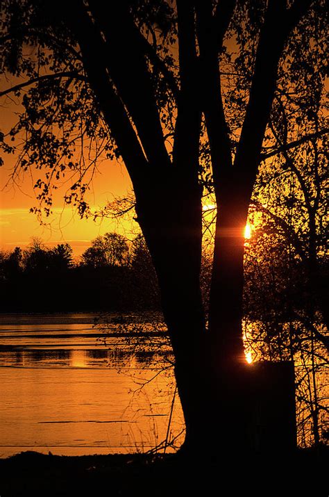 light  day photograph  susan mcmenamin pixels