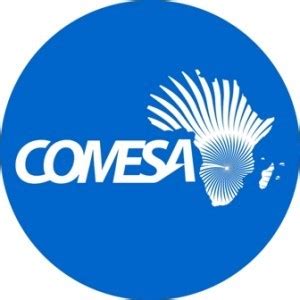 Migration Dialogue from COMESA Member States (MIDCOM, formerly COMESA RCP) | International ...