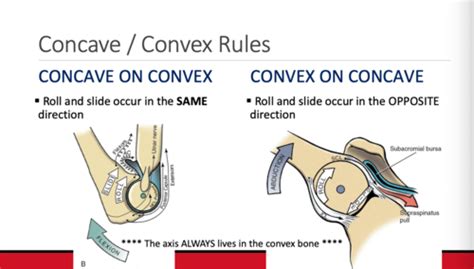 Goniometry Measuring Joint Motion Module 2 Flashcards Quizlet