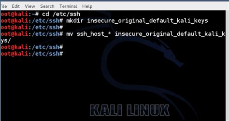 Enable SSH On Kali Linux Enable SSH On Kali Linux