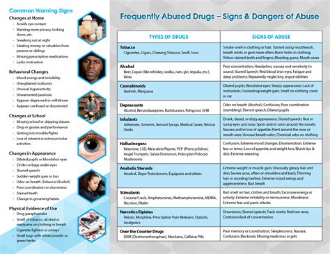 Warning Signs of Drug Abuse Pamphlet - Primo Prevention