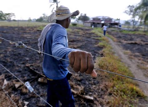 Alerta en el Valle del Cauca campesinos de Calima están en riesgo