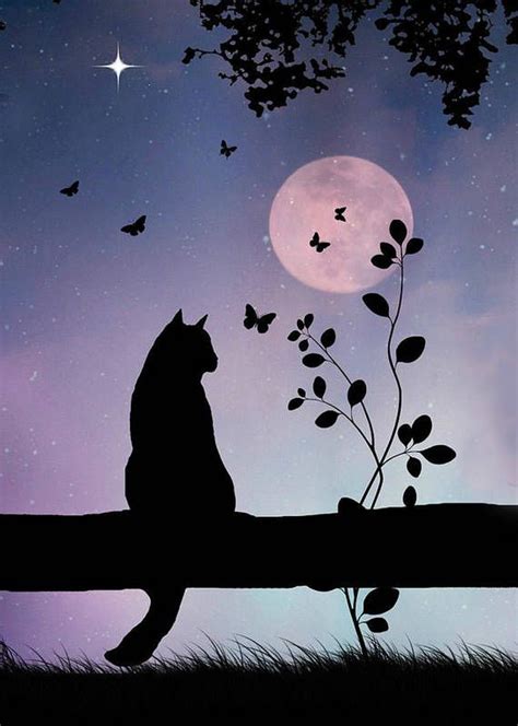 Cute Cat And Butterflies In Full Moon Art Print By Stephanie Laird