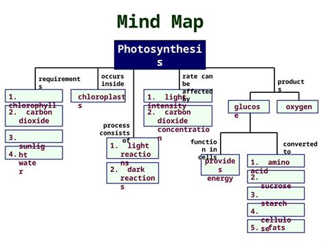 (PPT) Mind Map Photosynthesis requirements occurs inside process ...