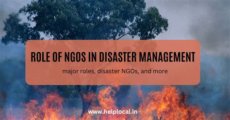 Role Of Ngos In Disaster Management 10 Things They Do