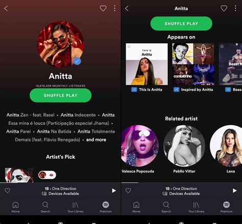 Spotify App Artist Information Peatix