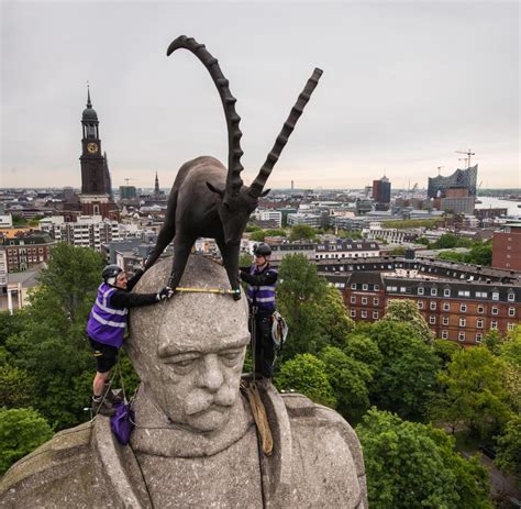 Architektursommer Ein Steinbock Thront Auf Hamburgs Bismarckdenkmal Welt