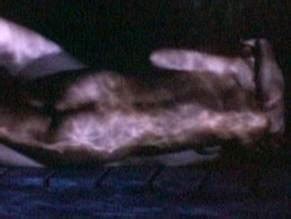 OLIVIA NEGRON Nude AZNude