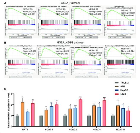 Ab Gene Set Enrichment Analysis Was Conducted To Predict The Download Scientific Diagram