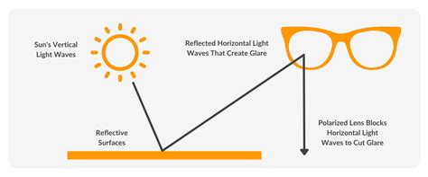 Photochromic vs. Polarized Lenses | SmartBuyGlasses US