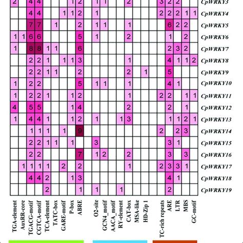 Basic information of WRKY gene family in Calohypnum plumiforme ...