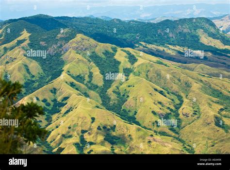 Fiji Islands South Southsea Sea Pacific Wild Wilderness Rainforest