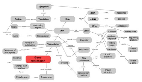 Protein Structure And Function Concept Map