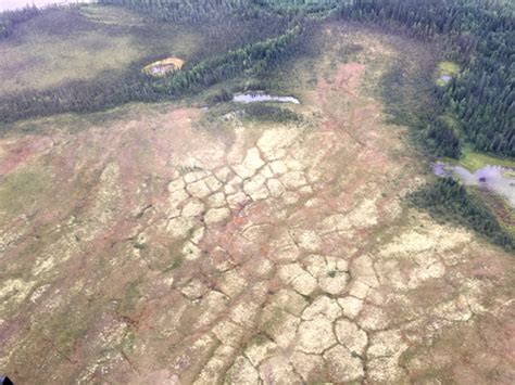 Airborne Surveys Examine Water Levels Of Lakes Perched On Permafrost Eos