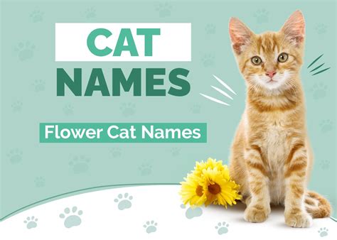 110 Flower Names for Cats: Our Top Picks for Your Charming Cat | Hepper