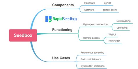 What Does A Seedbox Do Rapidseedbox