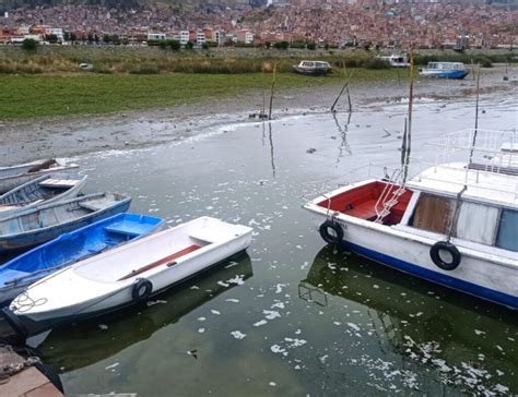 Lago Titicaca Recupera De Forma Parcial Su Nivel Gracias A Ltimas