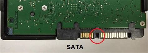 Connecting Sata Drive To Sas Controller Seagate Support Middle East North Africa