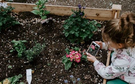 Quelles Graines Semer En Janvier Avec Les Enfants