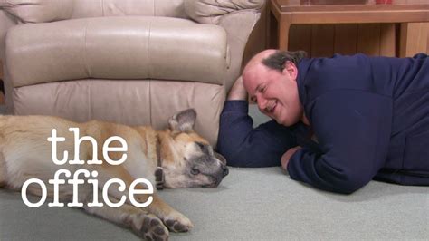 Kevins Dog The Office Us Youtube