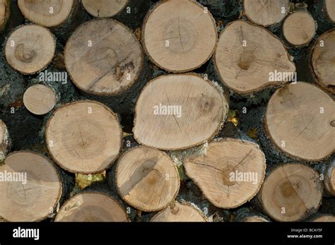 Pile Of Fire Wood Stock Photo Alamy