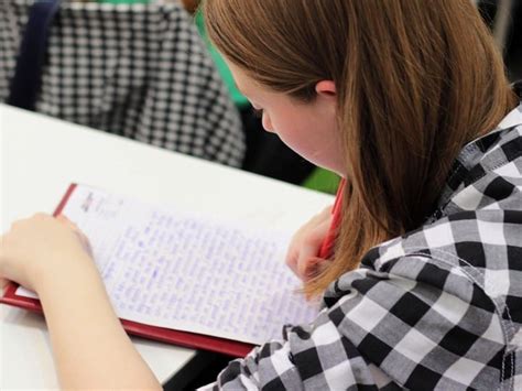 scaffold social studies essay writing   pro