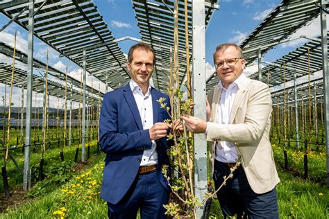 Äpfel unter Strom Photovoltaik Testprojekt liefert erste positive