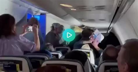 Cat Has Mile High High Meltdown Bites And Scratches Passengers On