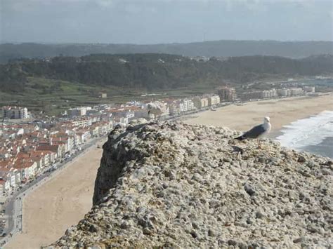 Fátima Batalha Alcobaça Nazaré and Óbidos Private Tour GetYourGuide