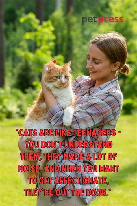 Unleashing Purr-fection: 50+ Crazy Cat Lady Quotes to Inspire Your Day