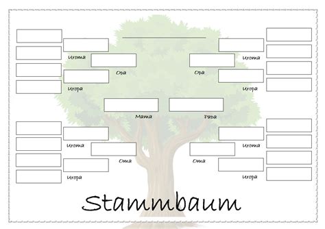 Stammbaum Vorlage Word Zum Herunterladen